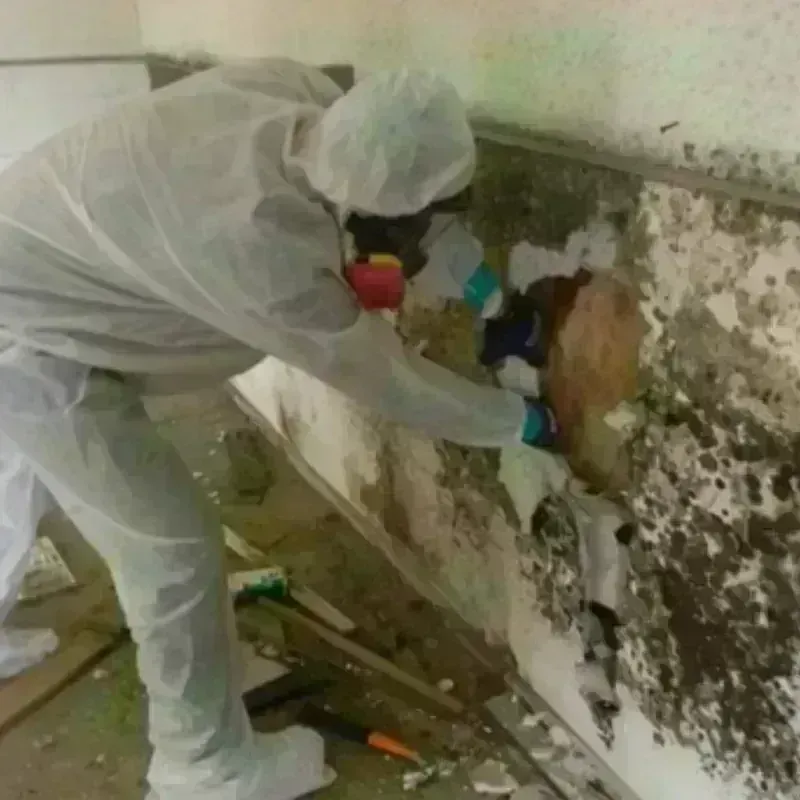 Mold Remediation and Removal in Lincoln County, KS