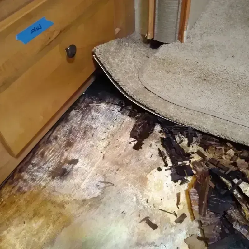 Best Wood Floor Water Damage Service in Lincoln County, KS